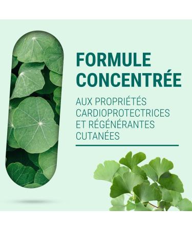 Naturathera - CENTELLA GREEN TEA - Dietary Supplement Cholesterol Circulation & High Blood Pressure - 90 Capsules - Dry Extracts - Made in France - Vegan - No GMO Allergen Additives - Buy Online on GoSupps.com