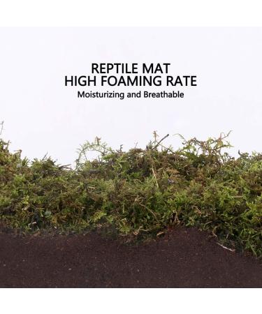 Buy Omem Reptile Coconut Brick & Dried Moss Set for Turtles | Warm Hibernation Floor Mat - Ideal Pet Supplies - Buy Online on GoSupps.com
