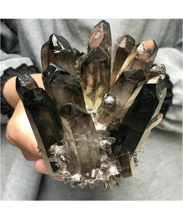 Crystal Rough Natural Crystal Rough Beautiful Natural Black Smoky Quartz Crystal Cluster Home Office Aquarium Decoration (Size : 800-900g) - Buy Online on GoSupps.com