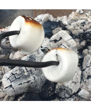 EPIC SNAX CO Giant Pink and White Toastin' Marshmallows 400g - Pack of 1 - Buy Online on GoSupps.com