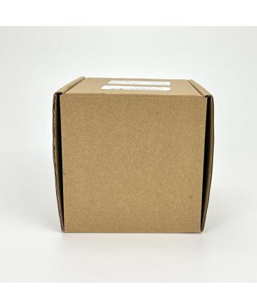 Dental Prosthetic Box Set - Orthodontic Retainer & Teeth Storage Case with Cleaning Brush - Perfect for Travel - Buy Online on GoSupps.com