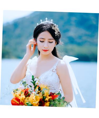 Didiseaon Bridal Hair Comb Hair Comb Bridal Side Comb Hair Jewels for Women Wedding Headpiece Floral Decorations Hair Accessories for Women Wedding Tiara Alloy Hair up Bride Leaf - Buy Online on GoSupps.com
