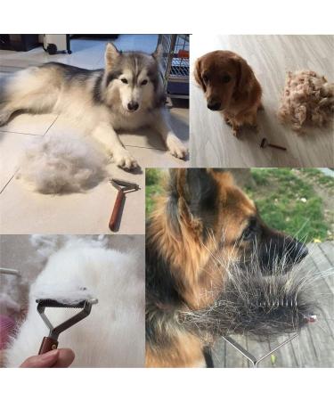 Coat King Dog Dematting Comb Pet Grooming Tool Undercoat Rake Removes Loose Undercoat Knots Mats and Tangled Hair for cats and dogs Stainless Steel with Wooden Handle (Large) - Buy Online on GoSupps.com
