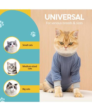 Avont Katzenbody Recovery Suit for Cats - Modal Leak Protection for Abdominal Wounds & Skin Diseases | Spay/Castration Weaning Clothing - Gray-Blue L - Buy Online on GoSupps.com