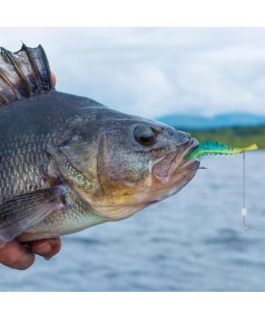 10PCS Premium Soft Shrimp Fishing Lures Set with Sharp Hooks - Ideal for Freshwater and Saltwater Fishing - Syosisny - Buy Online on GoSupps.com