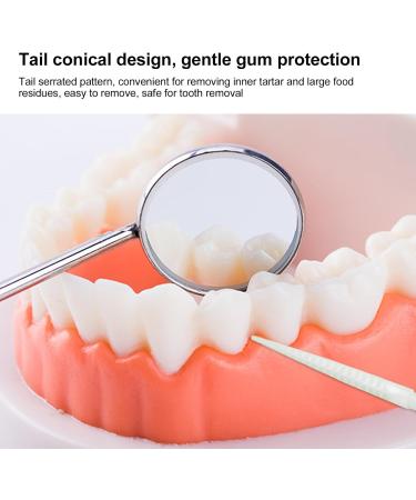 Premium Bendable Bristle Toothpicks - Dual-End Tooth Dotcher in Clear Box | Perfect for Banquets & Everyday Use - Buy Online on GoSupps.com