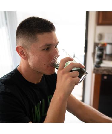 Wilderness Athlete Green Infusion Superfood Power Greens Powder with Wheatgrass, Astragalus Root, Green Tea Extract & Chlorella - 30 Servings (Chocolate Mint) - Buy Online on GoSupps.com