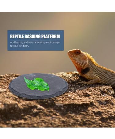Alipis Reptisoil Reptile Basking Platform Stone Round Tortoise Feeding Dish Rock Lizard Food Bowl Habitat Decor for Gecko Snake 2Pcs Terrarium Reptile - Buy Online on GoSupps.com
