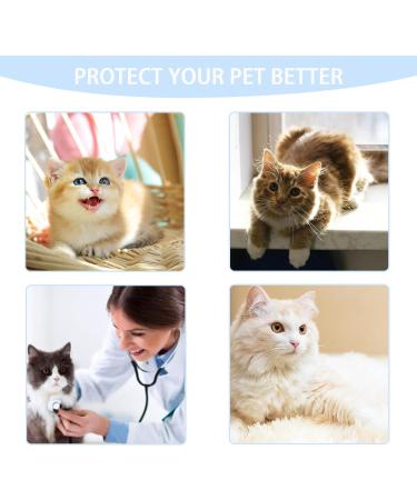 Cat Recovery Suit Cat Surgery Recovery Suit Cat Outfits for Cats Only Cone Collar Alternatives Suit for Cats Weaning Wounds Skin Diseases Cats Anti Licking Pajama Suit(Blue L Size) - Buy Online on GoSupps.com