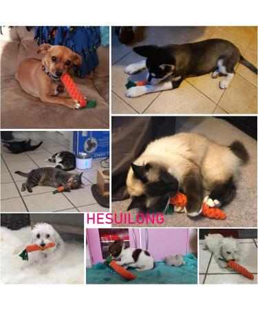 HESUILONG Carrot Dog Toys Puppy Teething Toys Dog Rope Toys Teething Toys for Puppies Cat Chew Toys Safe Braided Rabbit Toys Healthy Gift 3 PCS Sturdy - Buy Online on GoSupps.com