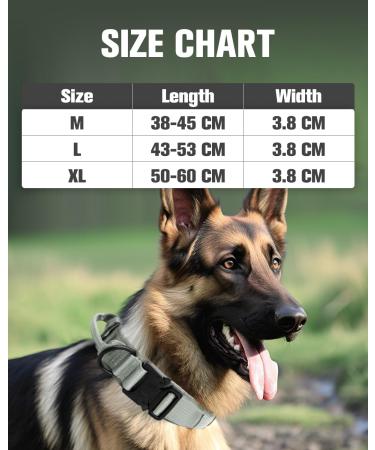 Joytale Tactical Dog Collar for Large Dogs | Durable Gray Dog Collar with Handle & QR Code Dog Tag | Ideal for Active Pets - Buy Online on GoSupps.com