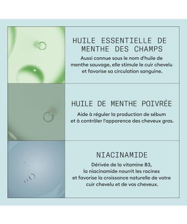 NIOXIN Scalp Recovery - Anti-Dandruff and Anti-Itch - Kit/Shampoo/Conditioner/Soothing Serum/Exfoliant - Buy Online on GoSupps.com