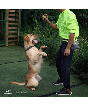 Doggy Dobby Dog Treat Training Pouch Bag Adjustable and Removable Extra Long Waist Belt Shoulder Strap 4 Ways to Wear Easily Carries - Buy Online on GoSupps.com