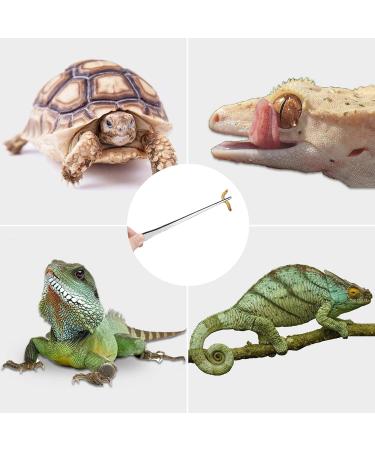 Straight Tweezers Reptile Feeding Tool 27cm Stainless Steel Aquarium Straight Tweezers Tongs 1Pc Mega Reptile Feeding Tweezers Cleaning Clamp - Buy Online on GoSupps.com