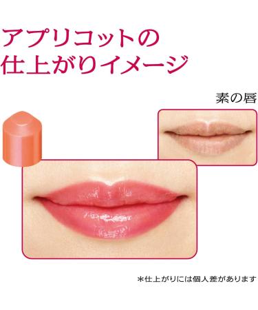  PRIOR PRIOR Priaulx Beauty Lip Lift CC N Apricot 4 g - Buy Online on GoSupps.com