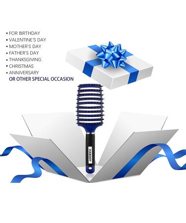 FIXBODY Boar Bristle Hair Brush - Curved Vented Design for Long Thick Curly Hair - Detangling & Blow Drying Brush (Blue) - Buy Online on GoSupps.com