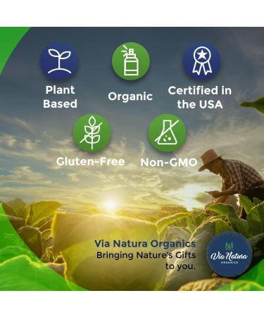 Via Natura Organics Apple Cider Vinegar Capsules 1000mg - Organic Herbal Supplement | 60 Capsules - Buy Online on GoSupps.com