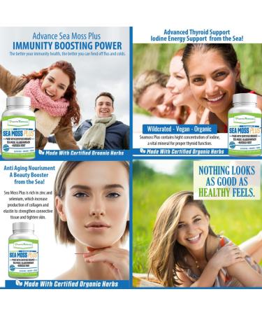 Power By Naturals Certified Organic Sea Moss Plus Supplements - 60 Vegan Capsules with Irish Sea Moss, Bladderwrack, and Burdock Root for Pure and Potent Seaweed Blend - Buy Online on GoSupps.com