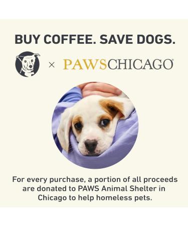 Stella Blue Cold Brew Arabica Big Cat Blend Coffee 6 Ready-to-Brew Packets Enriching Caramel and Hazelnut Notes with Sweet Fruitiness - Fresh Cold Brew for True Fanatics - Buy Online on GoSupps.com