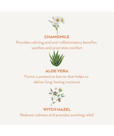 Little Pure Project Baby Bottom Spray - Soothing Diaper Rash Relief | Cleansing & Calming | Gentle Tea Tree & Chamomile | Wet Wipe Alternative - 5 fl. oz - Buy Online on GoSupps.com