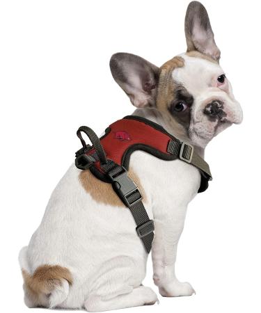 Littlearth NCAA Arkansas Razorbacks Front Clip Pet Harness - Small | Team Color Unisex-Adult - Buy Online on GoSupps.com