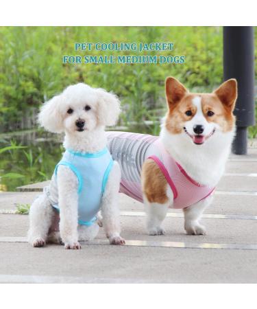 Light Dog Cooling Vest | Breathable T-Shirt with UV Protection | Reflective Dog Jacket for Small to Medium Dogs | Spring & Summer Blue - Buy Online on GoSupps.com