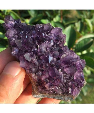 Natural Crystal Rough Natural Amethyst Quartz Crystal Cluster Specimen Healing 110-120g - Buy Online on GoSupps.com