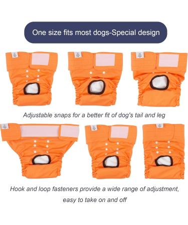 Cutebone 3-Pack Washable Dog Diapers | Waterproof Puppy Pants for Heat | Valentine's Day Rose Collection | Size M (41-53cm) - Buy Online on GoSupps.com