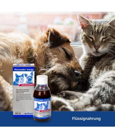 Alfavet Reconvales Energy Double Pack for Cats | High-Caloric Support for Convalescence & Underweight | 2 x 180ml - International Shipping Available - Buy Online on GoSupps.com