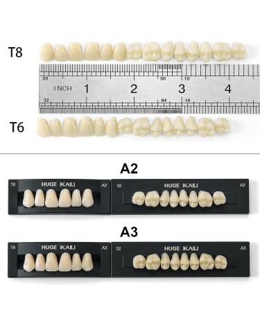 Dental Acrylic Resin Denture False Teeth Set | A2 T6 Synthetic Polymer Resin | Halloween DIY | 28 Pcs - Buy Online on GoSupps.com