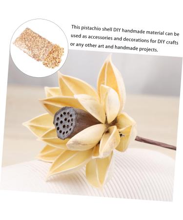 NUOBESTY 1 Pistachio Shell Decorative Painting Diy Materials Kids Crafts Material Child Supplies Artificial As Shown 2X1.2CM - Buy Online on GoSupps.com