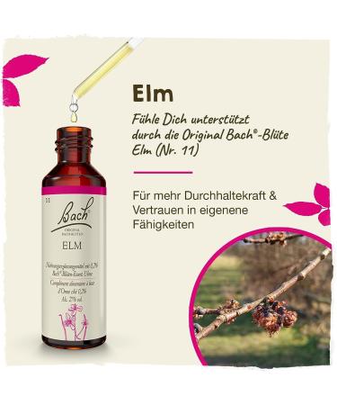 Original Bach Flower Drops No. 11 Elm - Relieve Stress & Embrace Rest | 20ml International Shipping Available - Buy Online on GoSupps.com
