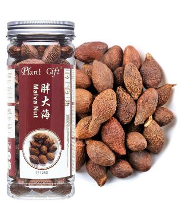 Plant Gift Malva Nut 125G/4.4oz Fat dried Sterculia lychnophora dried Pangdahai Chinese health tea