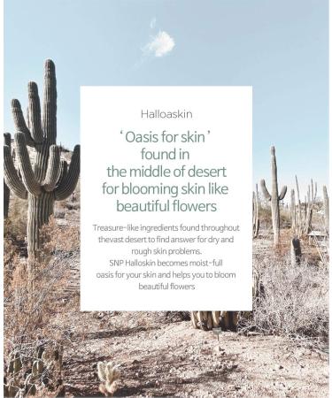 SNP Halloasis Moisturizing Hill Korean Face Mask - Cactus Hydrating & Anti-Aging Sheet Masks for Dry & Sensitive Skin (10 Sheets) - Shop Internationally - Buy Online on GoSupps.com