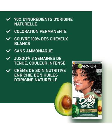 Garnier - Ammonia-Free Permanent Hair Color - 90% Natural Ingredients - Vegan Formula - Belle Color Naturals - Shade: Dark Ash Brown (3.1) - Buy Online on GoSupps.com