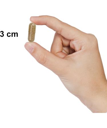 Nu-Health Maxi Memory Brain Supplement | with Ginkgo Biloba Gotu Kola Choline Lecithin Amino Acids & DHA | Supports Memory Focus Alertness & Cognitive Function | 60 Capsules - Buy Online on GoSupps.com