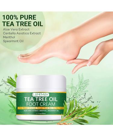 Tea Tree Oil Foot Cream for Cracked Rough Dead & Dry Skin Intensive Moisturizes & Softens Skin With Aloe Vera Cracked Heel Feet Foot Balm Skin Care Moisturizing Lotion for Men and Women - Buy Online on GoSupps.com