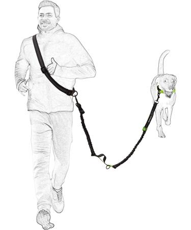 Mile High Life | Retractable Hands Free Dog Leash | Waist Running Adjustable | Reflective Dual Bungees | Dual Handles | Small Medium Large Dogs | (Purple) 7 Foot (Pack of 1) Waist Running-Purple - Buy Online on GoSupps.com