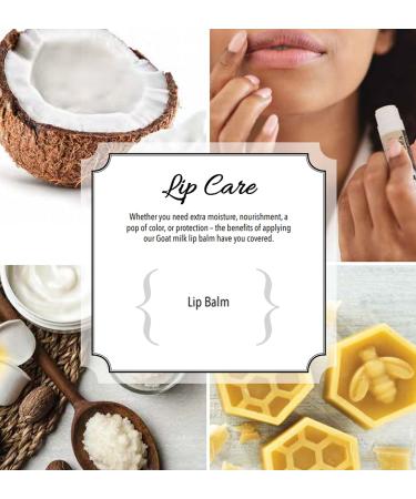 Dionis - Goat Milk Skincare Milk and Honey Scented Lip Balm (0.28 oz) - Made in the USA - Cruelty-free and Paraben-free - Buy Online on GoSupps.com