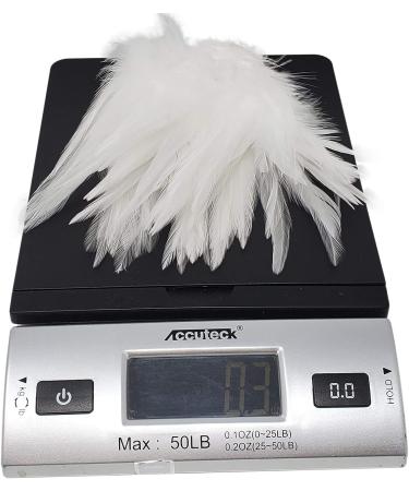 Creative Angler Saddle Hackle Fly Tying Kit - Natural Rooster Feathers for Crafts and Wet Flies - Steelhead Colored Feathers Combo Pack - Buy Online on GoSupps.com