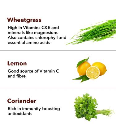 Akiva Superfoods Wheatgrass Daily Antioxidant Shot - Natural Detox 2oz Ready to Drink Servings (Pack of 15) - Buy Online on GoSupps.com