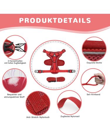 Adjustable Cat Dishes for Kittens & Puppies - Elevated Feeding Bowls with Line Set - Optimal Pet Feeding Solution (Red) - Buy Online on GoSupps.com