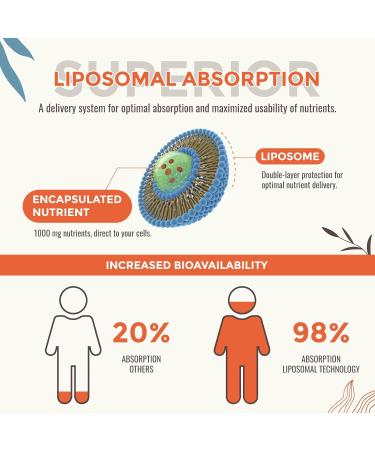 13-in-1 Liquid Oxygen & Nutrient Supplement for Energy Altitude Support Performance Antioxidant Immune Fatigue & Detox Liposomal for High Absorption pH Balance Organic Gluten Free 2 Fl Oz 2 Fl Oz (Pack of 1) - Buy Online on GoSupps.com