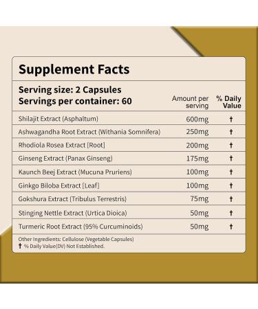 FIRSTORGANIC Himalayan Shilajit Vitality Guard+ Complex 1600mg | 120 Caps | Energy & Vitality Support with Ashwagandha, Rhodiola & More - Third-Party Tested, Vegan, Non-GMO, Gluten Free - Buy Online on GoSupps.com