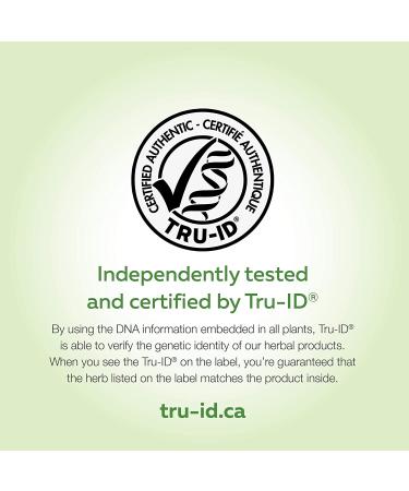 Nature's Way Astragalus Root Capsules 470mg - 100 Count - Pack of 1 - Buy Online on GoSupps.com