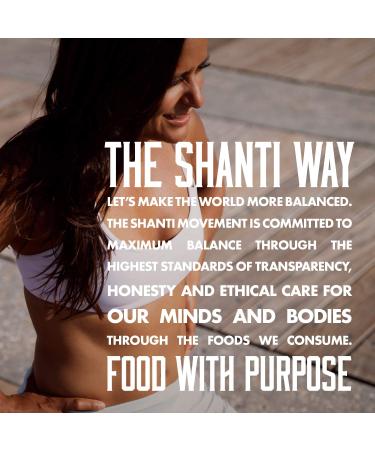 SHANTI BALANCE Mexican Chocolate Mulberry Bars - 17g Plant Protein, Gluten-Free Superfood | 12 Count - Buy Online on GoSupps.com