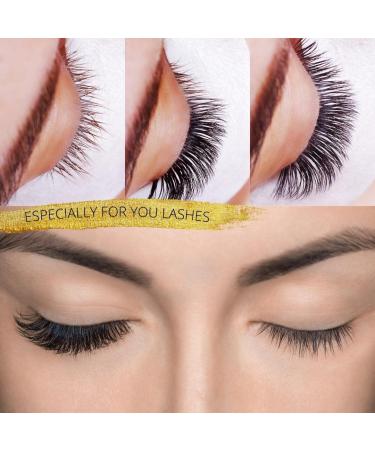 500 Loose Promade Fans | Volume Eyelash Extensions | 3D to 20D | C CC D L M | 0.03-0.1mm | 8-20mm Length | Long Lasting & Easy Application - Buy Online on GoSupps.com