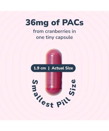 Utiva 36PAC Power Bundle Clinically Proven 36 mg PACs Cranberry Supplement and 12B CFU Probiotic Supplement 30 Day Urinary Tract and Gut Health Bundle for Men and Women - Buy Online on GoSupps.com