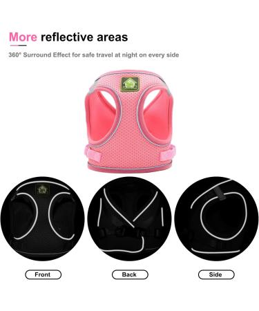 Neuwehe Cat Dishes & Leash Set - Adjustable Cat Harness & Tableware for Cats & Small Dogs | Pink - Buy Online on GoSupps.com