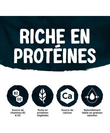 Alpro - Boisson v g tale - Soja prot ine go t chocolat- 1L- Lot de 8x1L - Buy Online on GoSupps.com